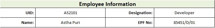 Salary Slip Employee Info