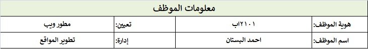 Salary Slip UAE