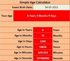 Ready-To-Use Age Calculator Excel Template - MSOfficeGeek